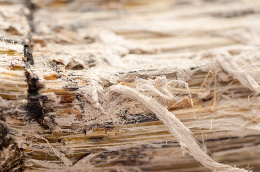 Close-up van asbestvezels – wat is asbest en waarom is het gevaarlijk?